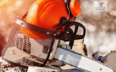 How to Prevent Chainsaw Accidents During Tree Removal