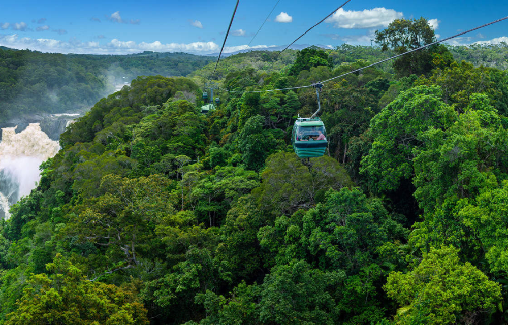 Skyrail Rainforest Cableway